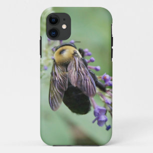 title_seo2 ¡Hermosa abeja!