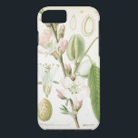Funda Para iPhone 8/7 Hermosa flor floral vintage antigua botánica<br><div class="desc">Hermosa impresión botánica floral vintage - flor antigua dibujo de placa francesa Tough iPhone 6 cubierta funda.</div>