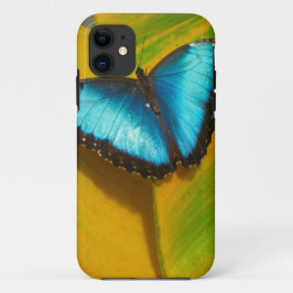 Funda Para iPhone 11 Hermosa Mariposa Irisada