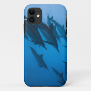 Funda Para iPhone 11 Hermosas criaturas oceánicas