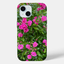 Hermosas rosas rosas en el estuche para iPhone en 