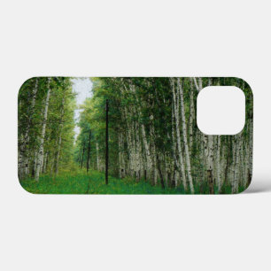 Funda Para iPhone 13 Mini Hermoso bosque Birch Tree