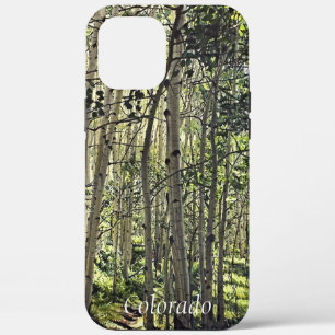 title_seo2 Hermoso Bosque de Álamo Temblón en Crested Butte