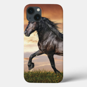 Funda Para iPhone 13 Hermoso caballo negro