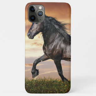 Funda Para iPhone 11 Pro Max Hermoso caballo negro