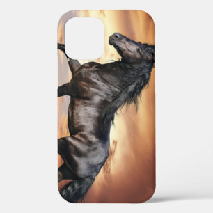 Funda Para iPhone 12 Pro Hermoso caballo negro