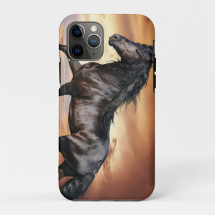 Funda Para iPhone 11 Pro Hermoso caballo negro