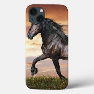 Funda Para iPhone 13 Hermoso caballo negro