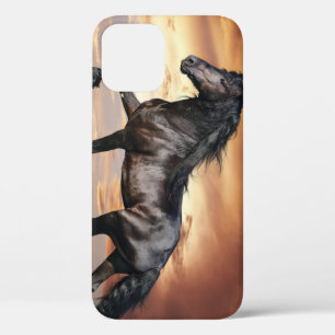 Funda Para iPhone 12 Hermoso caballo negro