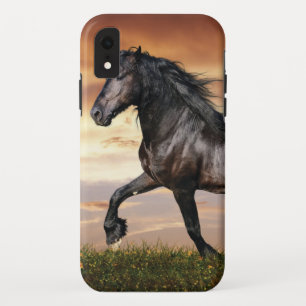 Funda Para iPhone XR Hermoso caballo negro