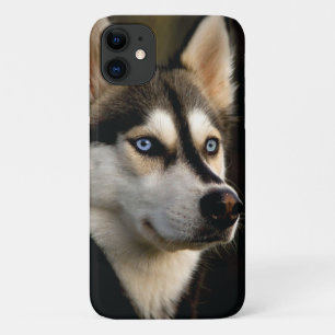 Funda Para iPhone 11 Hermoso Cojín decorativo Husky