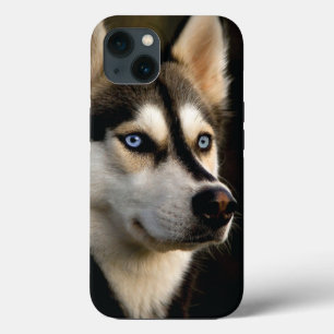 Funda Para iPhone 13 Hermoso Cojín decorativo Husky