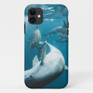 Funda Para iPhone 11 Hermoso delfín lindo