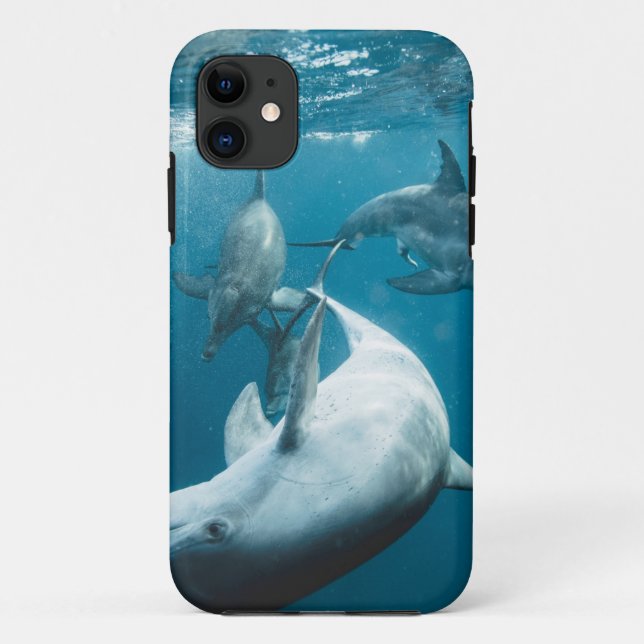 Funda De Case-Mate Para iPhone Hermoso delfín lindo (Reverso)