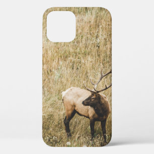 FUNDA PARA iPhone 12 HERMOSO ELK DEER