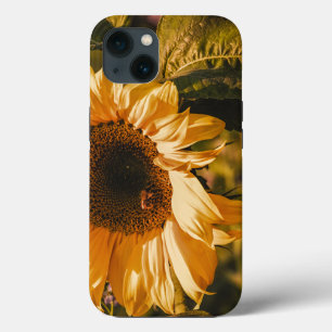 Funda Para iPhone 13 Hermoso girasol amarillo grande Tough 