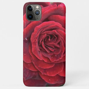 Funda Para iPhone 11 Pro Max Hermoso iphone rojo rosa 11 Pro Max Apenas ahí