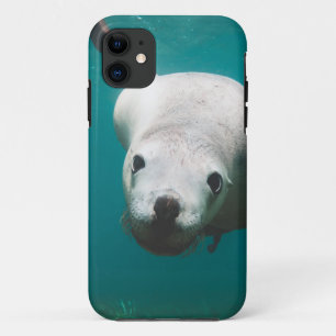 Funda Para iPhone 11 Hermoso león marino