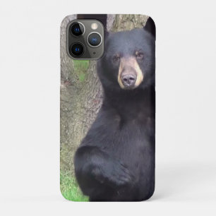 Funda Para iPhone 11 Pro Hermoso oso negro disfrutando de un refrigerio