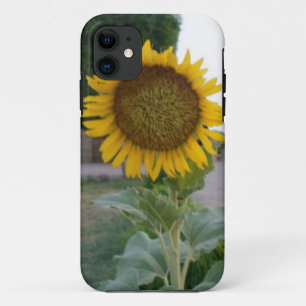 Funda Para iPhone 11 Hermoso Sunflower