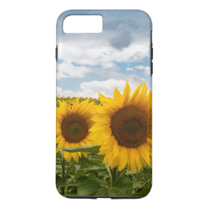 Funda Para iPhone 8 Plus/7 Plus hermosos girasoles de verano