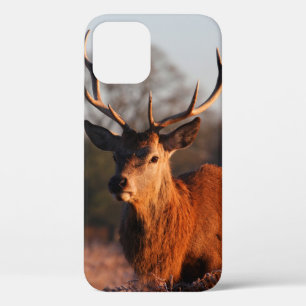 FUNDA PARA iPhone 12 HI DEER