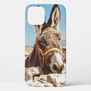 FUNDA PARA iPhone 12 HI DONKEY