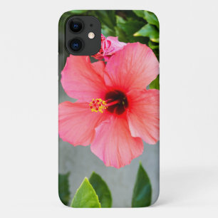 Funda Para iPhone 11 Hibisco Rosa Hawaiano