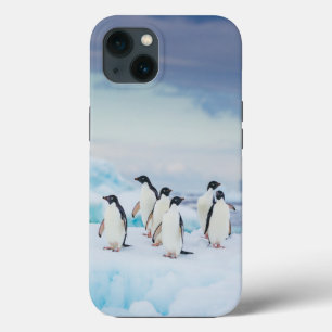 Funda Para iPhone 13 Hielo y nieve   Adelie Penguins Antártida