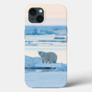 Funda Para iPhone 13 Hielo y nieve   Polar Bear Iceberg Noruega