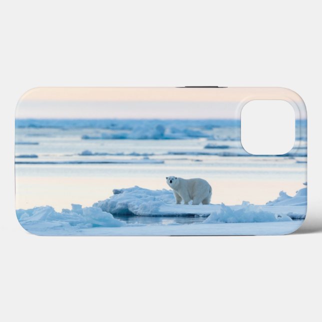 Funda De Case-Mate Para iPhone Hielo y nieve | Polar Bear Iceberg Noruega (Reverso (Horizontal))