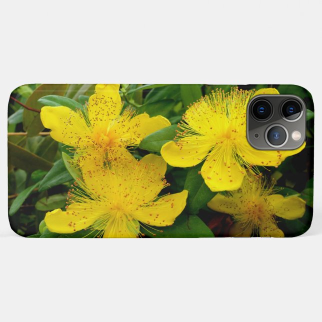 Funda De Case-Mate Para iPhone Hipericum calycinum (Reverso (horizontal))