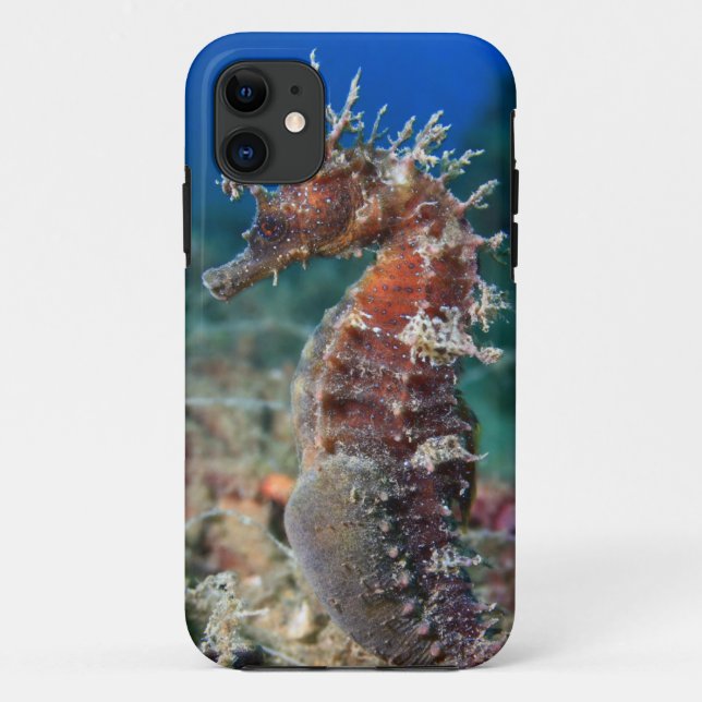 Funda De Case-Mate Para iPhone Hipocampo Ramulosus del caballo de mar el | (Reverso)