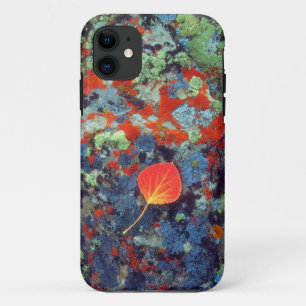Funda Para iPhone 11 Hoja de álamo sobre una roca cubierta de líquenes