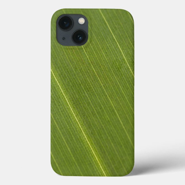 Funda De Case-Mate Para iPhone Hoja de palmera (Reverso)