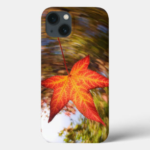 Funda Para iPhone 13 Hoja que cae de un árbol en otoño