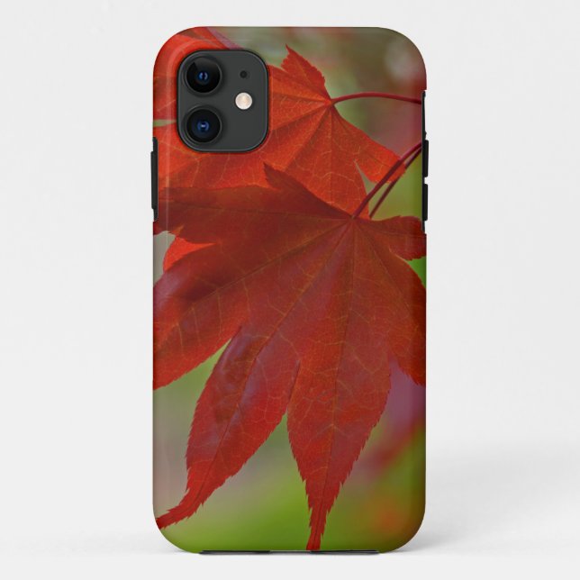 Funda De Case-Mate Para iPhone Hojas de árbol rojo (Reverso)