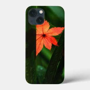 title_seo2 Hojas de arce japonesas