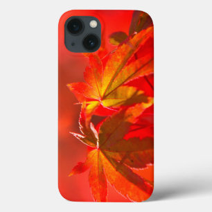 Funda Para iPhone 13 Hojas de arce japonesas