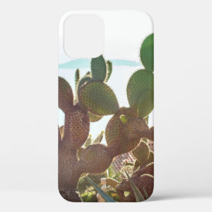 Funda Para iPhone 12 Hojas de cactus. Planta al aire libre con luz de f