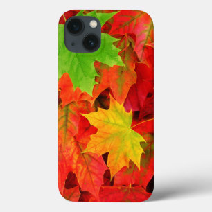 title_seo2 Hojas de otoño