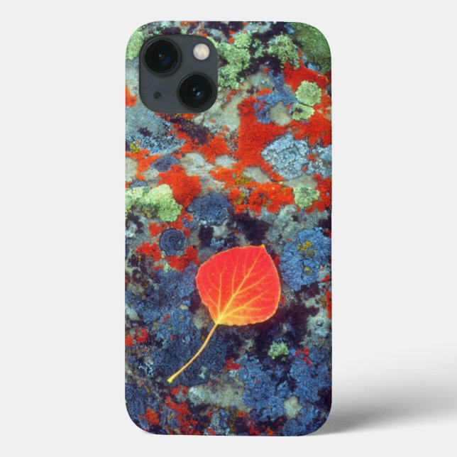 Funda De Case-Mate Para iPhone Hojas en una roca cubierta de liquen (Reverso)
