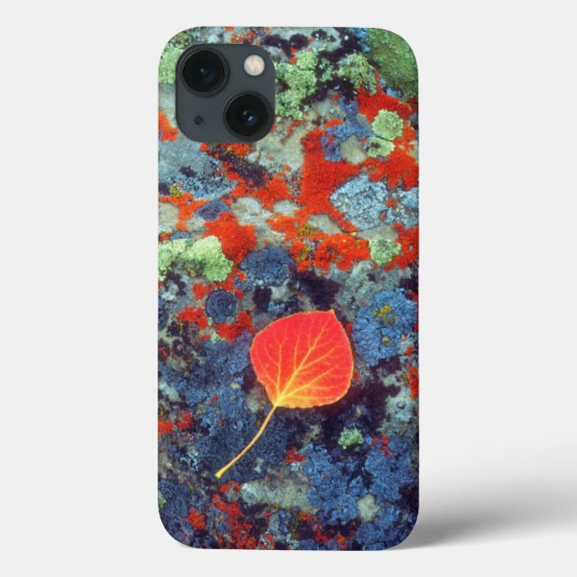 Funda De Case-Mate Para iPhone Hojas en una roca cubierta de liquen (Reverso)