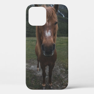 FUNDA PARA iPhone 12 HOLA SOY UN CABALLO