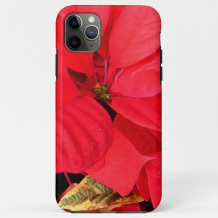 Funda Para iPhone 11 Pro Max Holly Point Poinsettias Navidades Holiday Floral