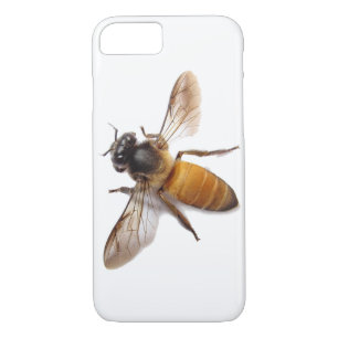 title_seo2 Honey Bee