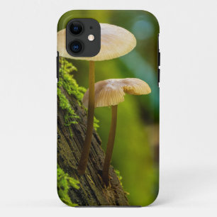 Funda Para iPhone 11 Hongos, hongos, musgos