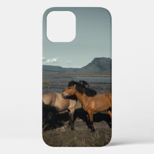 FUNDA PARA iPhone 12 HORSE COUPLE