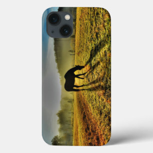 Funda Para iPhone 13 Horse de moda al amanecer en una foto de campo oxi