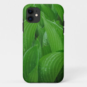 Funda Para iPhone 11 Hostas jóvenes con gotas de lluvia